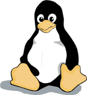Cloning a remote Linux server